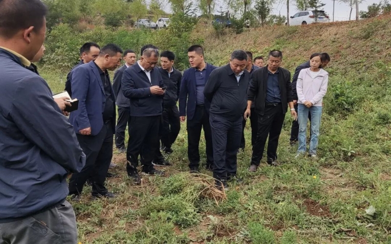 天水市政協(xié)副主席、清水縣委書記馬越垠到“榮程百草莊園”中藥材試驗基地調(diào)研中草藥產(chǎn)業(yè)發(fā)展工作