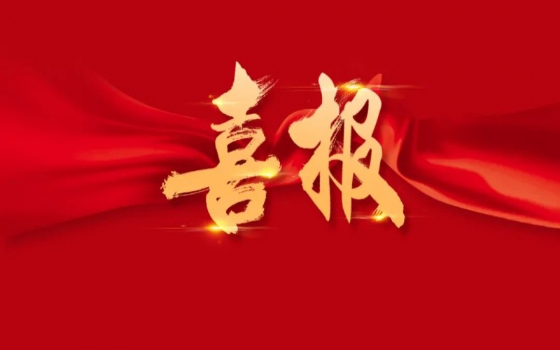 喜報！榮程集團(tuán)入選2025年企業(yè)數(shù)字化綠色化協(xié)同轉(zhuǎn)型發(fā)展典型案例